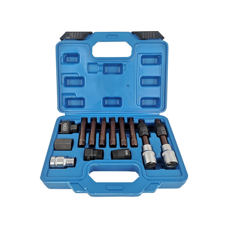 Juego de puntas y dados para poleas de alternador | 1/2" | 12 piezas