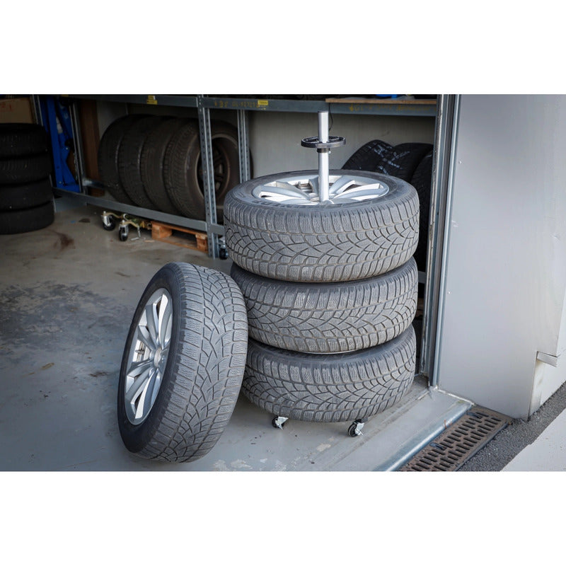 Soporte Para Transporte De Neumaticos | Bgs 70979