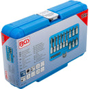 Set De Dados Con Punta Hexagonal 1/4 & 1/2 18 Pzas Bgs 5171