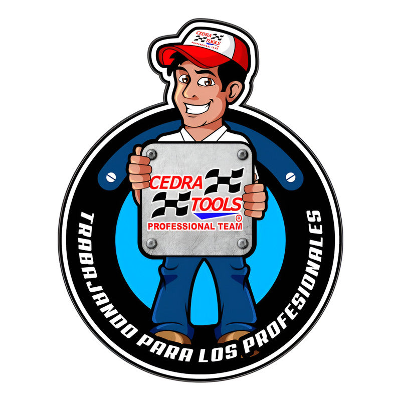 Injectoclean 9323 Salvador De Memoria Automotriz 110v
