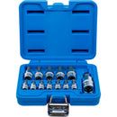 Juego Dados Con Punta | 1/4- 3/8 - 1/2 | 2-14mm | Bgs 74257