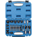 Juego De Poleas De Alternador | 22 Pz | Bgs 4247