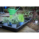 Tina Para Aceite Con Boquilla | 50 Lts | Bgs 9997