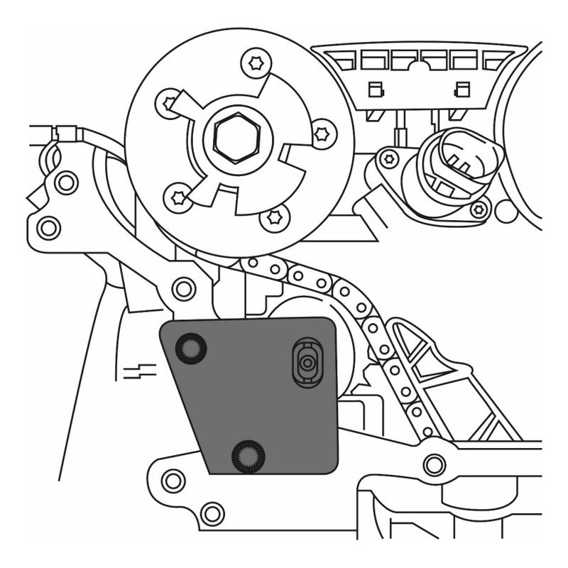 Placa Para Fijar Bomba Alta Presión Vw/audi 3.6 Fsi Bgs 9492