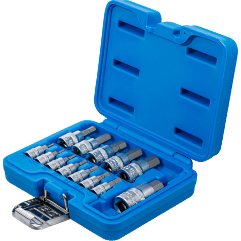 Juego Dados Con Punta | 1/4- 3/8 - 1/2 | 2-14mm | Bgs 74257