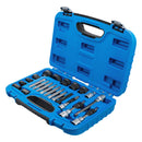 Juego De Poleas De Alternador | 22 Pz | Bgs 4247