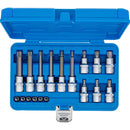 Set De Dados Con Punta Torx Plus 1/4 & 1/2 18 Pzas Bgs 5173