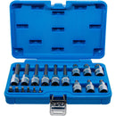 Set De Dados Con Punta Hexagonal 1/4 & 1/2 18 Pzas Bgs 5171