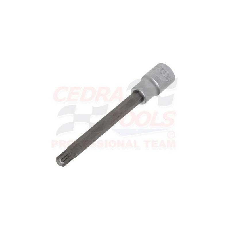Juego De Puntas Ribe 10mm Y 10.3mm Para Cabeza De Vw / Audi Azul Acero