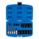 Kit 17 Pzs Dados Y Puntas Para Caliper De Freno| Bgs 74283