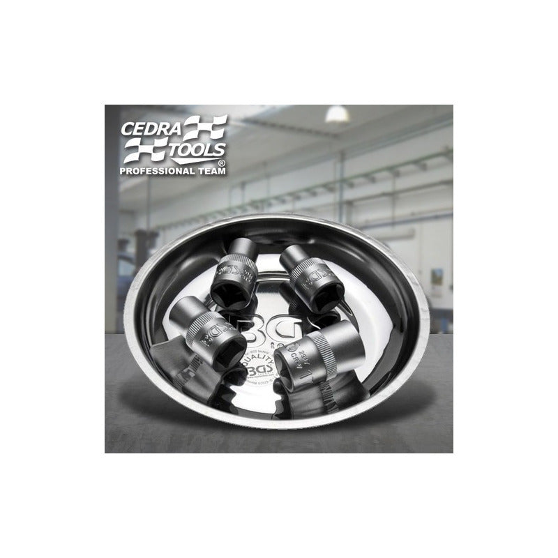 Bgs 1150 Bandeja Magnética Inoxidable De Servicio 15cm