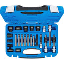 Juego De Poleas De Alternador | 22 Pz | Bgs 4247