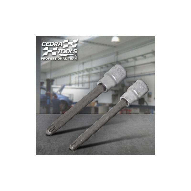 Juego De Puntas Ribe 10mm Y 10.3mm Para Cabeza De Vw / Audi Azul Acero