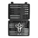 Extractor Universal Automotriz Tipo Pata De Gallo 40 Pzas - Cedratools